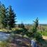  Land for sale in Chile, Navidad, Cardenal Caro, Libertador General Bernardo Ohiggins, Chile