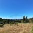  Land for sale in Chile, Navidad, Cardenal Caro, Libertador General Bernardo Ohiggins, Chile