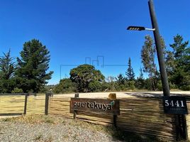  Land for sale in Chile, Navidad, Cardenal Caro, Libertador General Bernardo Ohiggins, Chile
