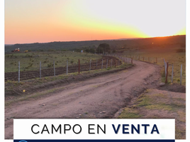  Terrain for sale in Tulumba, Cordoba, Tulumba