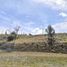  Land for sale in Guarne, Antioquia, Guarne