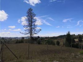  Land for sale in Guarne, Antioquia, Guarne