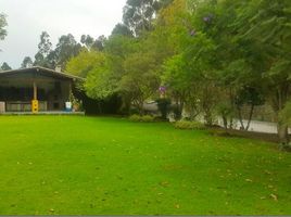 4 Schlafzimmer Haus zu verkaufen in Quito, Pichincha, Calderon Carapungo