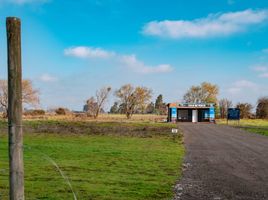  Terreno (Parcela) en venta en Maule, Pelarco, Talca, Maule