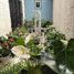 在Michoacan出租的4 卧室 屋, Zamora, Michoacan