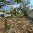  Land for sale in Comalcalco, Tabasco, Comalcalco