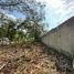  Land for sale in Comalcalco, Tabasco, Comalcalco