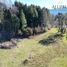  Terreno (Parcela) en venta en Araucanía, Pucón, Cautín, Araucanía