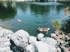  Grundstück zu verkaufen in Cuernavaca, Morelos, Cuernavaca, Morelos