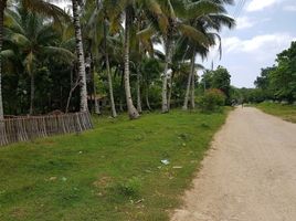  Terrain for sale in Davao del Norte, Davao, Island Garden Samal City, Davao del Norte