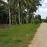  Land for sale in Davao del Norte, Davao, Island Garden Samal City, Davao del Norte