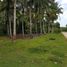  Land for sale in Island Garden Samal City, Davao del Norte, Island Garden Samal City