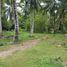  Land for sale in Island Garden Samal City, Davao del Norte, Island Garden Samal City