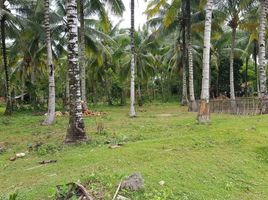  Land for sale in Island Garden Samal City, Davao del Norte, Island Garden Samal City