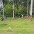  Land for sale in Davao del Norte, Davao, Island Garden Samal City, Davao del Norte