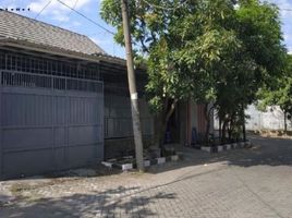 Maison 2 chambre à vendre à Tambaksari, East Jawa, Tambaksari