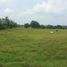  Land for sale in Silang, Cavite, Silang