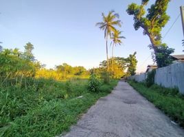  Land for sale in Yogyakarta, Ngemplak, Sleman, Yogyakarta