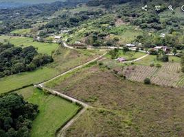  Terreno (Parcela) en venta en Isnos, Huila, Isnos