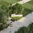  Land for sale in Motul, Yucatan, Motul