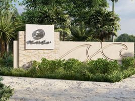  Land for sale in Motul, Yucatan, Motul