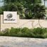  Land for sale in Motul, Yucatan, Motul