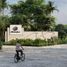  Land for sale in Motul, Yucatan, Motul