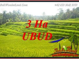  Terrain for sale in Tegallalang, Gianyar, Tegallalang