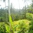  Terrain for sale in Tegallalang, Gianyar, Tegallalang
