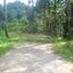  Terrain for sale in Tegallalang, Gianyar, Tegallalang