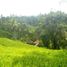  Terrain for sale in Tegallalang, Gianyar, Tegallalang