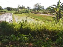  Land for sale in Yogyakarta, Seyegan, Sleman, Yogyakarta