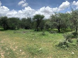  Grundstück zu verkaufen in Villa De Reyes, San Luis Potosi, Villa De Reyes