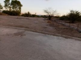 Terrain à vendre à Torreon, Coahuila, Torreon