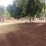  Grundstück zu verkaufen in Othon P Blanco, Quintana Roo, Othon P Blanco