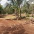  Grundstück zu verkaufen in Othon P Blanco, Quintana Roo, Othon P Blanco