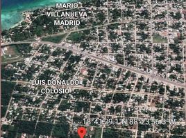  Grundstück zu verkaufen in Othon P Blanco, Quintana Roo, Othon P Blanco