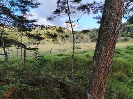  Land for sale in Guarne, Antioquia, Guarne