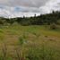  Land for sale in Guarne, Antioquia, Guarne