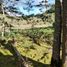  Land for sale in Guarne, Antioquia, Guarne