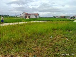  Tanah for sale in Ciomas, Bogor, Ciomas