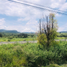  Terrain for sale in Allende, Guanajuato, Allende