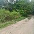  Land for sale in Ngemplak, Sleman, Ngemplak