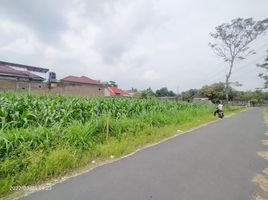  Land for sale in Yogyakarta, Ngaglik, Sleman, Yogyakarta