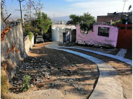 2 Schlafzimmer Haus zu verkaufen in Zapopan, Jalisco, Zapopan