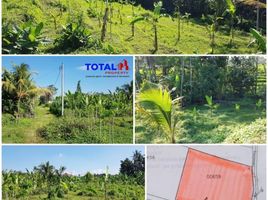  Tanah for sale in Marga, Tabanan, Marga