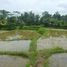  Terrain for sale in Tampak Siring, Gianyar, Tampak Siring