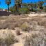  Terrain for sale in Baja California Sur, La Paz, Baja California Sur