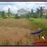  Land for sale in Ubud, Gianyar, Ubud