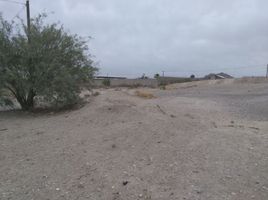  Grundstück zu verkaufen in Ojinaga, Chihuahua, Ojinaga